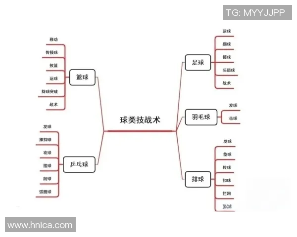 全面掌握基础篮球技巧从入门到精通的实用教程