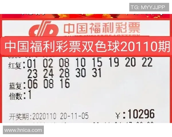 双色球篮球号码解析与选号技巧分享助你中大奖